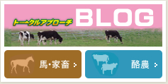 トータルアプローチブログ