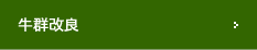 牛群改良