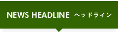 ヘッドライン