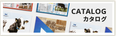 カタログ