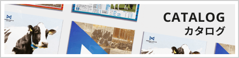 カタログ
