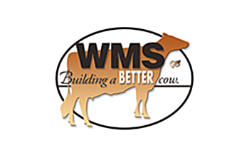 WMS