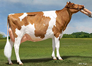 ブルクリック ライダー オーバーン RED