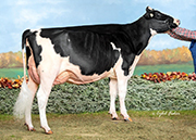 ジェイコブス メルシー ビリー