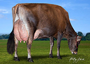 ザリホフ プレミア スノーフォール