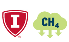 immunityとメタン