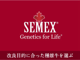 SEMEX 改良目的に合った種牛を選ぶ