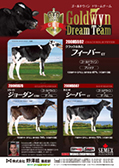 ゴールドウィン ドリームチーム①
