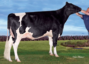 AJL シーバー カルーデット　GP83-2YR（MGS：バジービー）