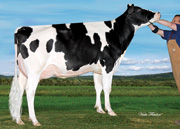 ファニコ ジャック ローラ（MGS：エキシビット）