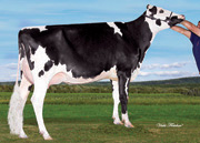 ラフジェール フィーバー キャシー　VG88-2YR（MGS：リー）