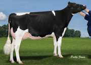 ペムクレスト シャーロッテ Ｊ（MGS：タイムアウト）