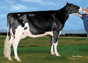 リムースコワ シーバー ニニー　VG85-2YR（MGS：ウィンドウズ）