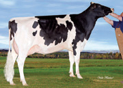 ロビエール ミミ フィーバー　VG85-2YR（MGS：モーティー）