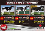 SEMEX タイプランキング（2011）