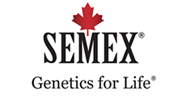 SEMEX
