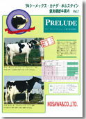SEMEX 1994年07月パンフレット