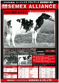 SEMEX 2002年08月パンフレット