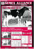 SEMEX 2003年02月パンフレット