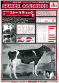 SEMEX 2004年02月パンフレット