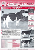 SEMEX 2006年03月パンフレット