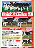 SEMEX 2007年02月パンフレット