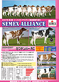 SEMEX 2007年08月パンフレット
