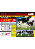 SEMEX 2009年01月成績版パンフレット