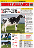 SEMEX 2009年08月成績版パンフレット