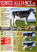 SEMEX 2010年08月成績版パンフレット
