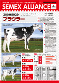 SEMEX 2012年8月成績版パンフレット