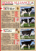 SEMEX 2012年4月成績版パンフレット
