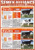 SEMEX 2013年4月成績版パンフレット