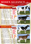 SEMEX 2015年12月成績版パンフレット