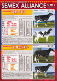 SEMEX 2015年4月成績版パンフレット