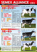SEMEX 2015年8月成績版パンフレット