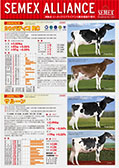 SEMEX 2016年8月成績版パンフレット