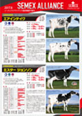 SEMEX 2017年8月成績版パンフレット