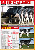 SEMEX 2018年8月成績版パンフレット