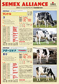 SEMEX 2019年12月成績版パンフレット