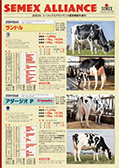 SEMEX 2020年4月成績版パンフレット