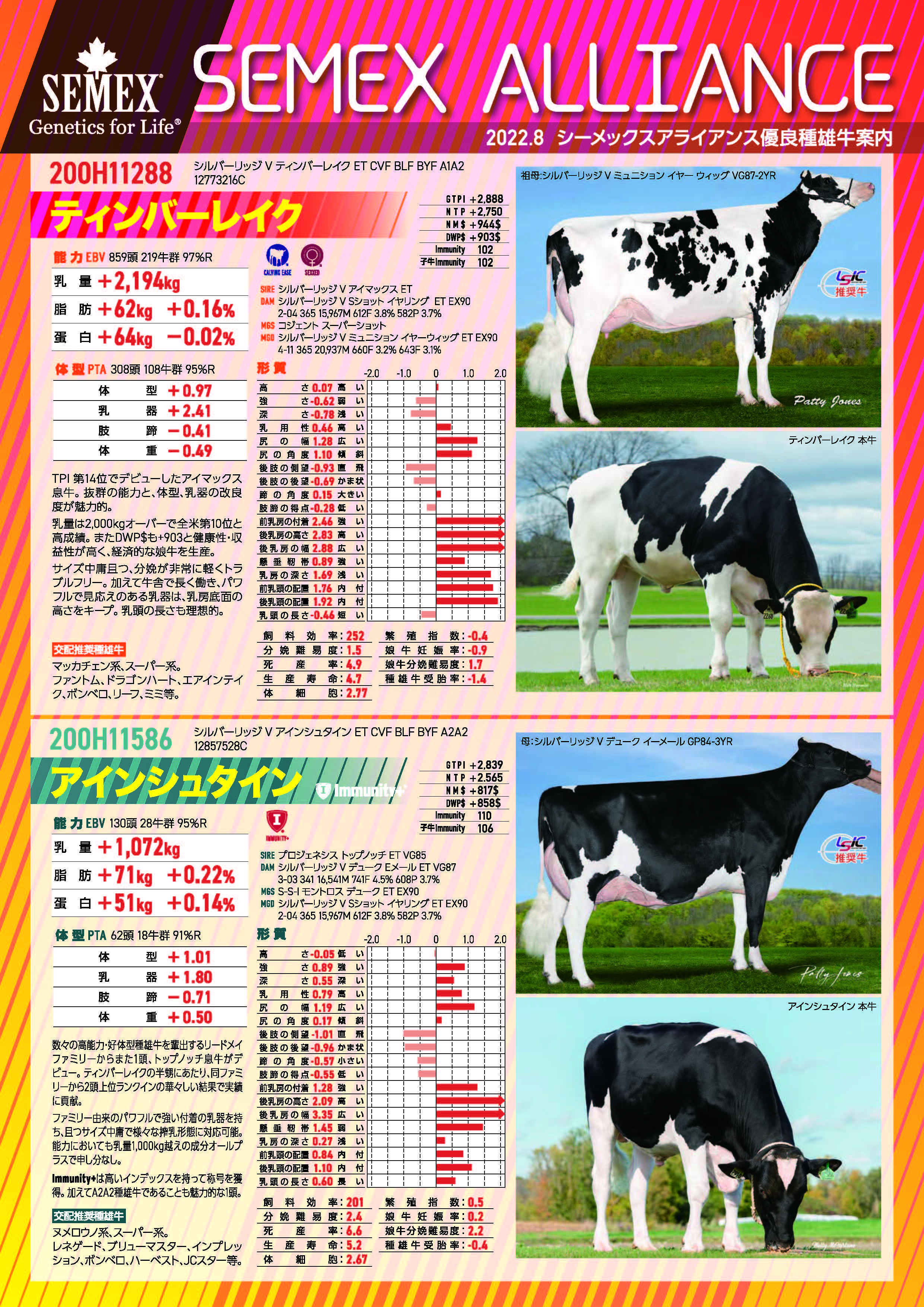 SEMEX 2022年8月成績版パンフレット