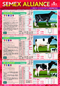 SEMEX 2022年12月成績版パンフレット