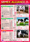SEMEX 2023年04月成績版パンフレット