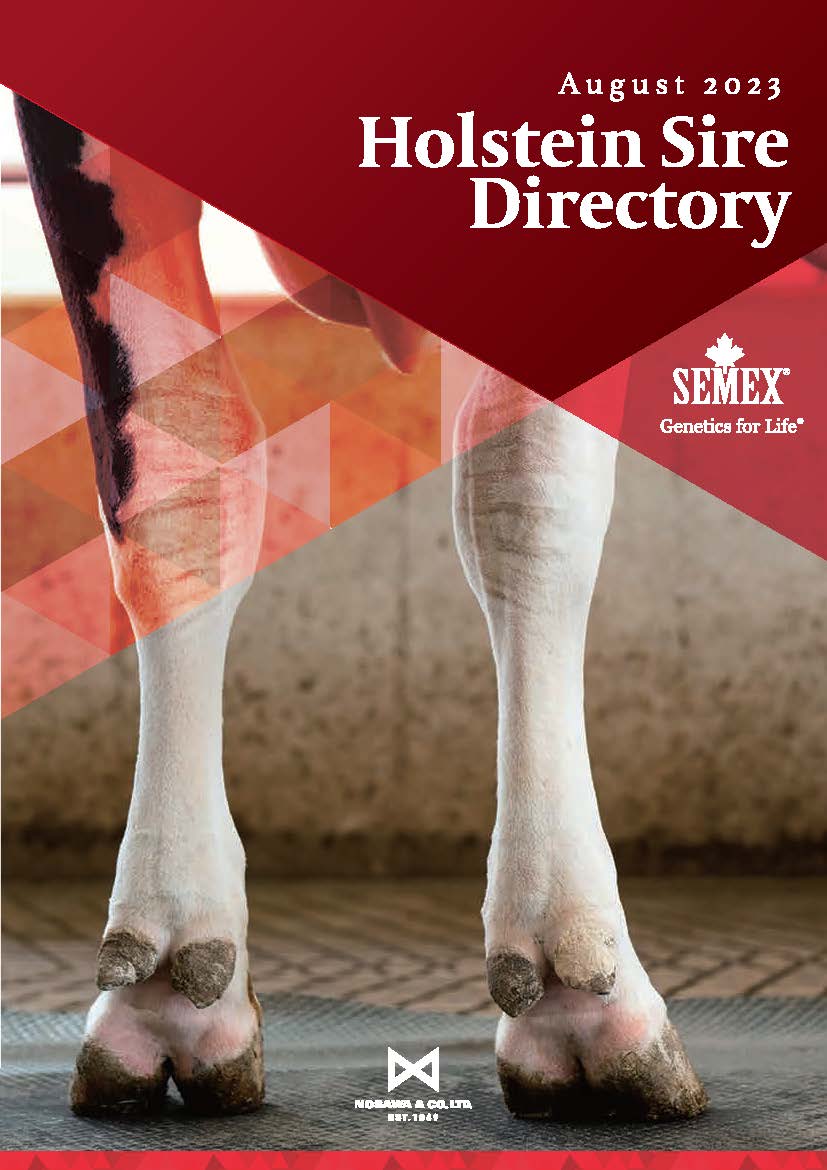 SEMEX 2023年08月成績版パンフレット