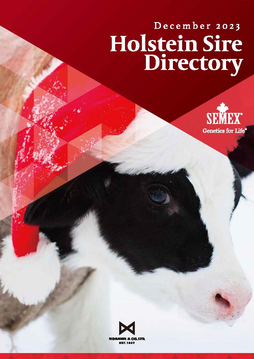 SEMEX 2023年12月成績版パンフレット