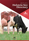 SEMEX 2024年04月成績版パンフレット