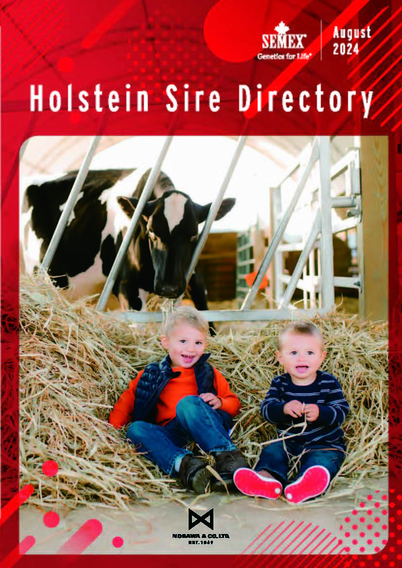 SEMEX 2024年8月成績版パンフレット