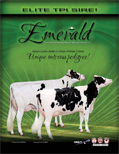 エメラルド