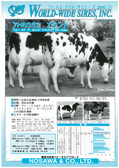 WWS 2000年08月パンフレット